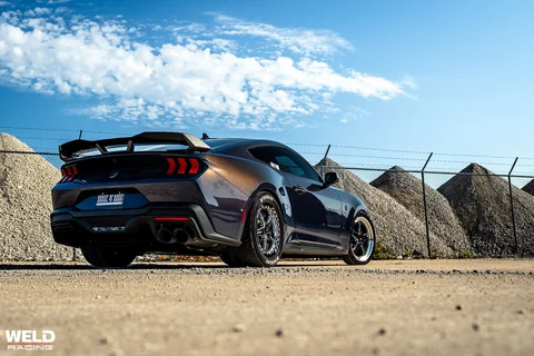 Darkhorse on welds 10