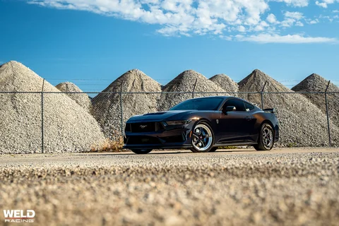 Darkhorse on welds 12