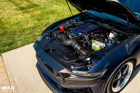 Darkhorse on welds 16