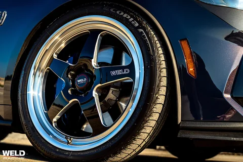 Darkhorse on welds 4