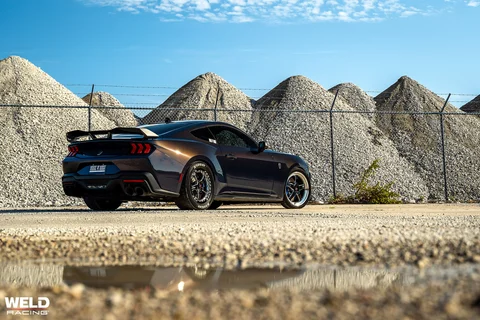 Darkhorse on welds 9